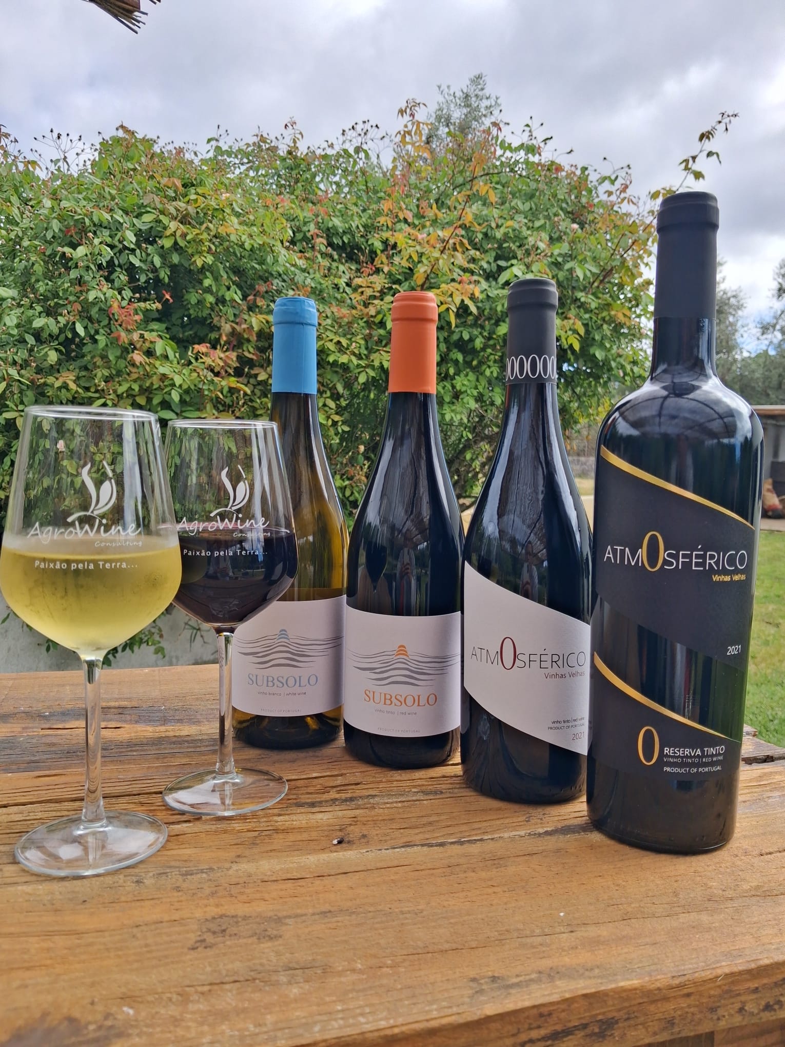 Prova Legado de Bocage — quatro vinhos