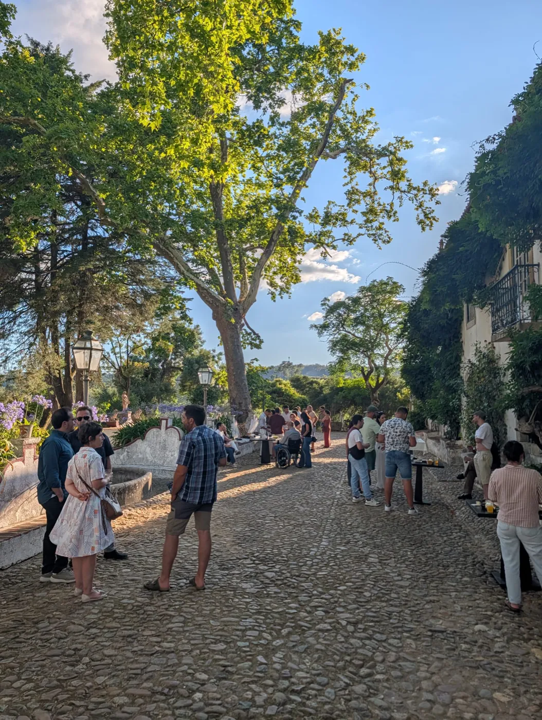 Convidados no pátio da Quinta do Valle da Louza ao fim da tarde