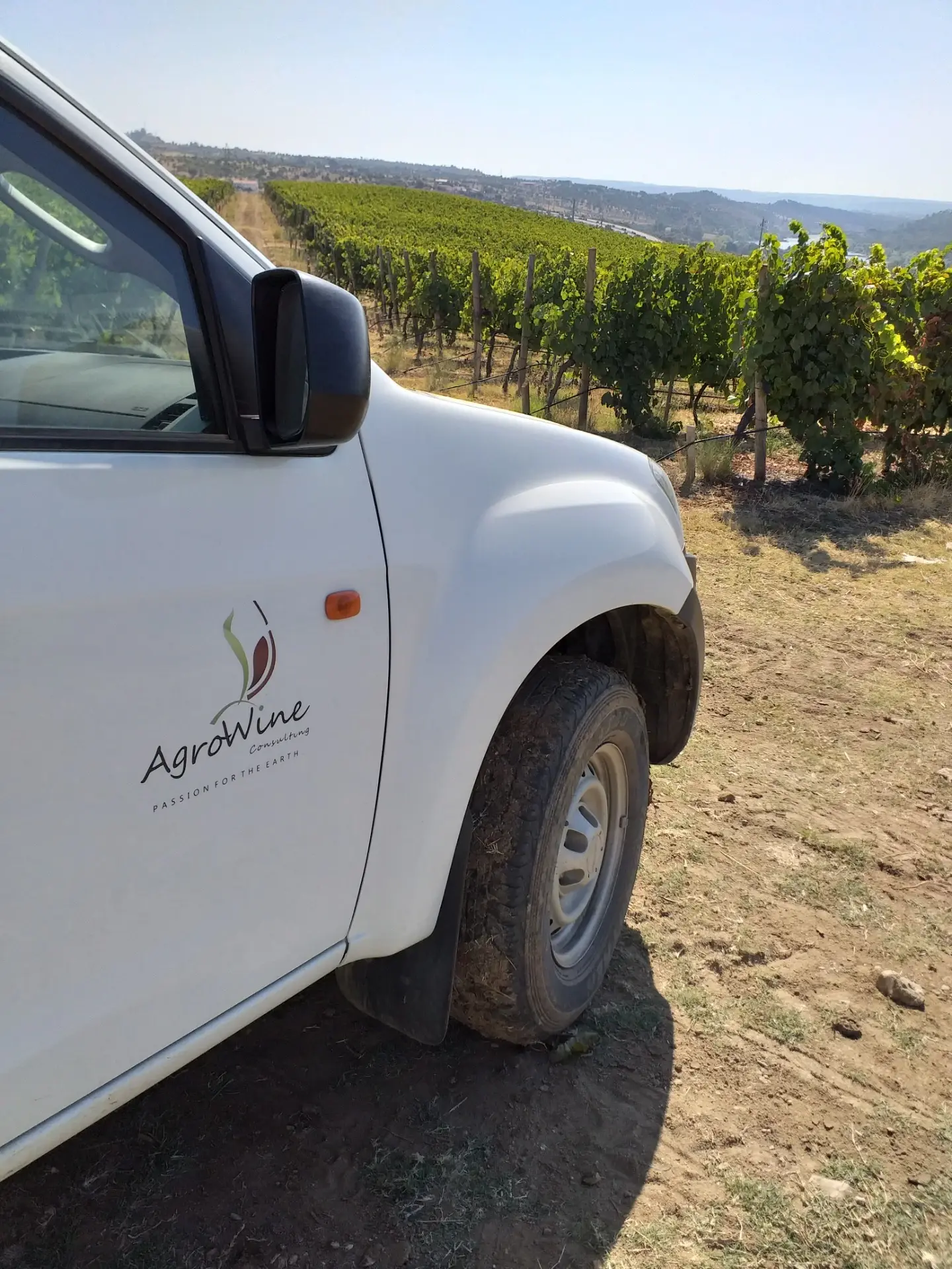 Consultoria AgroWine